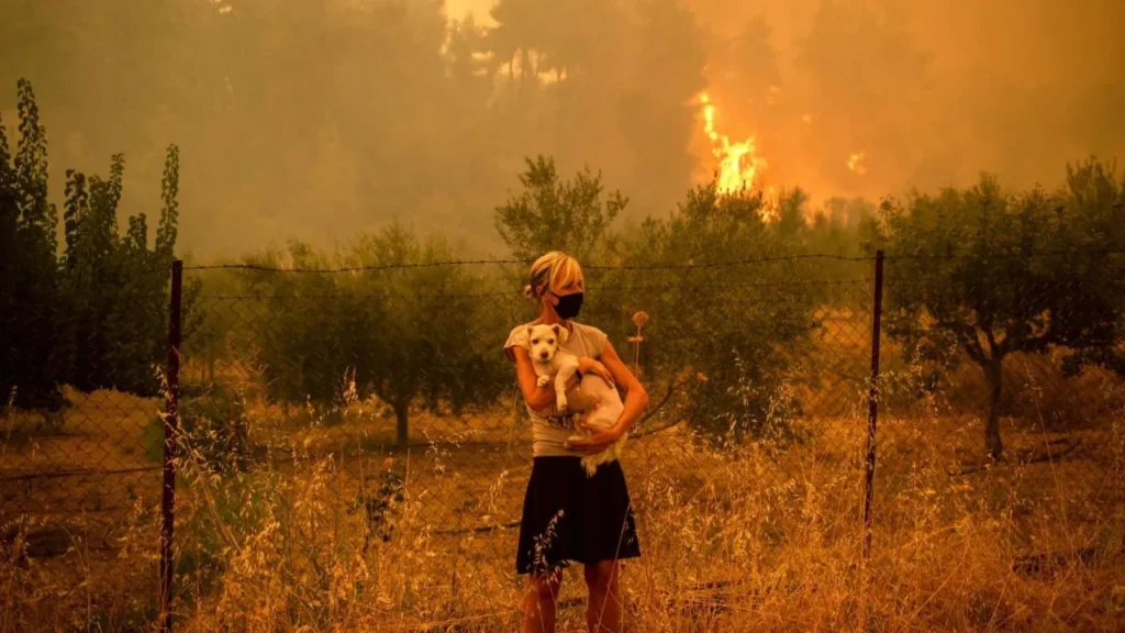 Zúrich en la primera línea del calor: estudio de Oxford vinculan muertes con emisiones globales 10 Zúrich