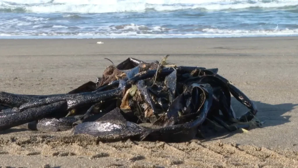 derrame de hidrocarburo golpea a comunidades costeras