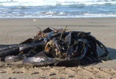 derrame de hidrocarburo golpea a comunidades costeras