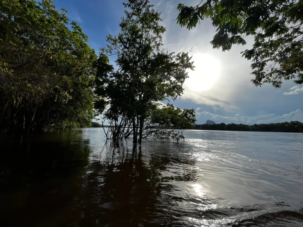 Amazonía y La Paz corren riesgo de desaparecer si no la protegemos 11 amazonia