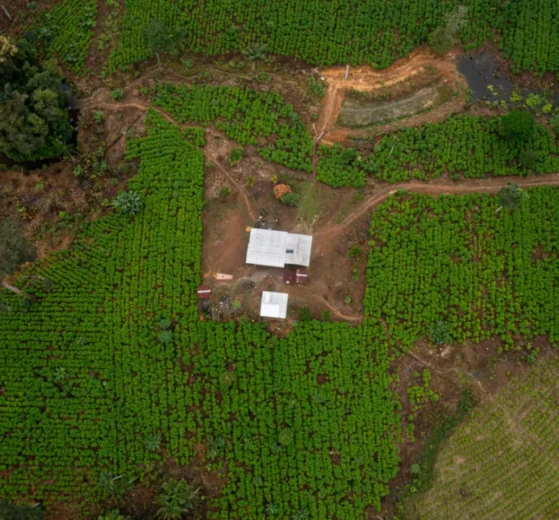 Amazonía y La Paz corren riesgo de desaparecer si no la protegemos 12 amazonia (2)