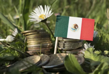 Propuesta Ambiental 2026: un plan ambicioso… Pero con vacíos críticos que deben atenderse 13 ambiental