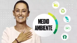 año del gobierno de Claudia Sheinbaum