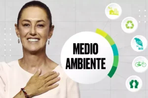 año del gobierno de Claudia Sheinbaum