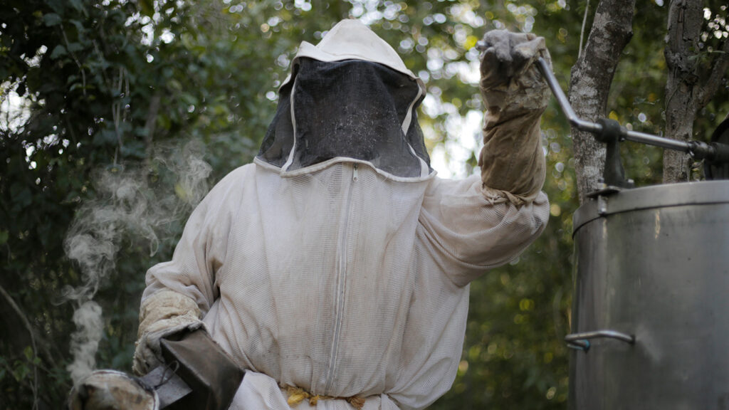 Abejas en resistencia: las voces mayas que defienden la apicultura 11 apicultores