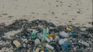 basura en la playa