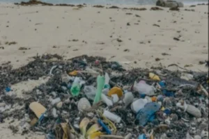 basura en la playa