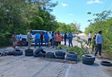 Comunidad y naturaleza en pie de lucha contra proyecto ‘Perfect Day’ en Mahahual y Cozumel 16 Mahahual y Cozumel