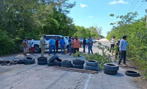 Comunidad y naturaleza en pie de lucha contra proyecto ‘Perfect Day’ en Mahahual y Cozumel 16 Mahahual y Cozumel