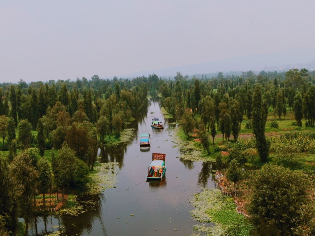 Moctezuma realiza jornada de limpieza en canales de Xochimilco para fortalecer sistema chinampero 11 canales de Xochimilco