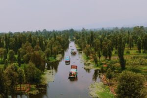 canales de Xochimilco
