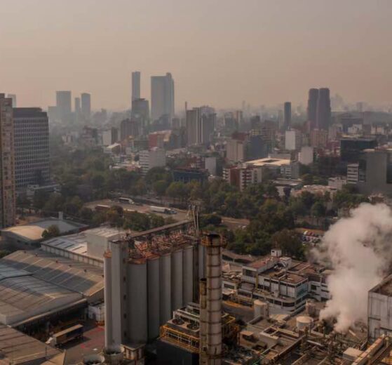 contaminación ambiental