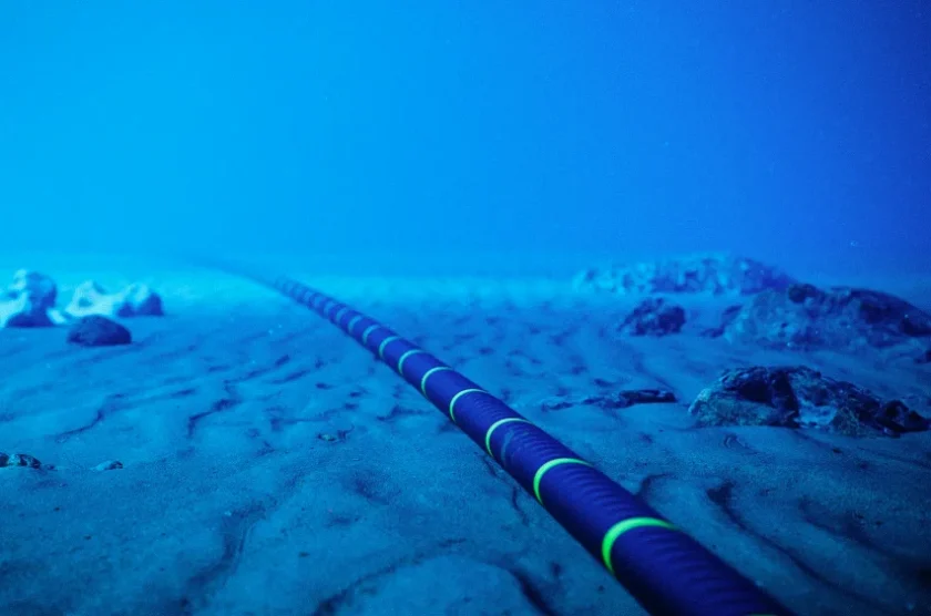 Alertan por riesgo ambiental en arrecife de Cozumel ante proyecto de cableado submarino 11 Alertan por riesgo ambiental en arrecife de Cozumel