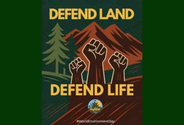 defensa sobre la tierra