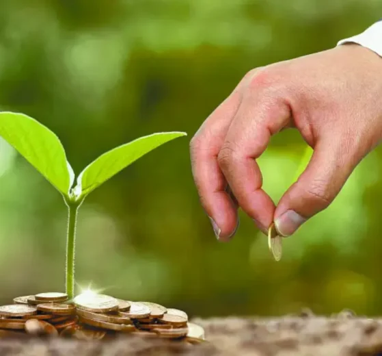 Fiscalías Ambientales buscan frenar delitos ecológicos: entre la esperanza y la ineficacia en México 12 delitos ecologicos