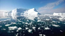 El deshielo glaciar altera la vida marina, alerta la ciencia   17 derretimiento