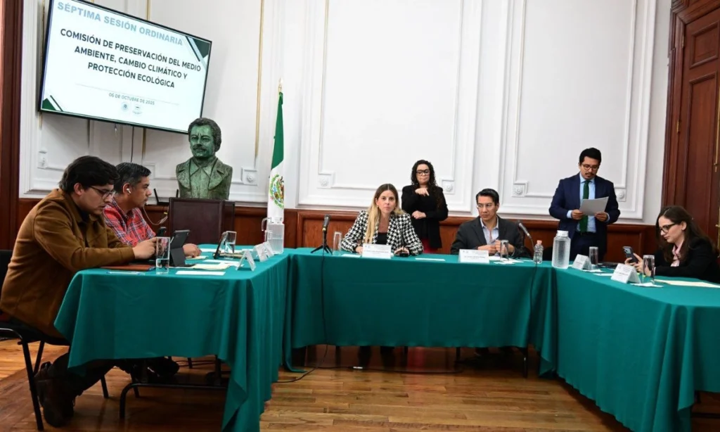 Mónica Alegre se perfila para dirigir la PAOT: el Congreso de CDMX avala su experiencia ambiental 12 designa comision del congreso cdmx a monica alegre como titular de la paot a2e51c71 083e 4de8 b42f ca899d15b60c medialjnimgndimagefullsize