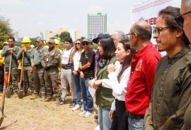 Avanza la reforestación estratégica para rescatar el ecosistema poblano 20 ecosistema poblano
