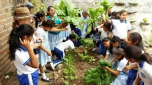 educacion ambiental 3