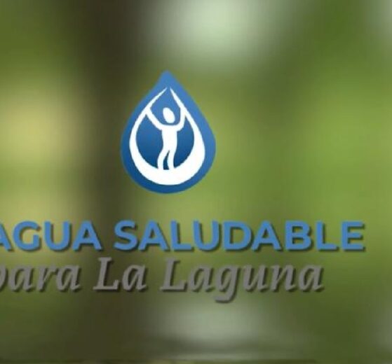 agua saludable
