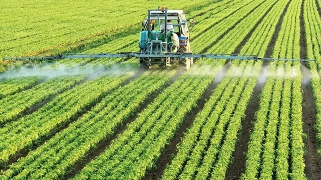 El compost y el estiércol: aliados naturales en la lucha contra el cambio climático 11 fertilizantes