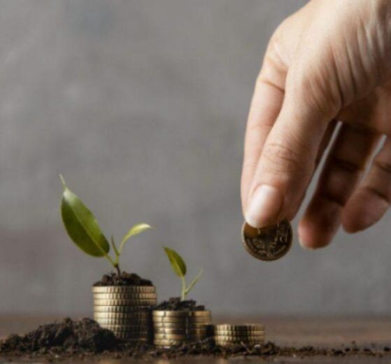 El informe del PNUMA revela una brecha crítica en la financiación mundial, advirtiendo que la falta de protección efectiv