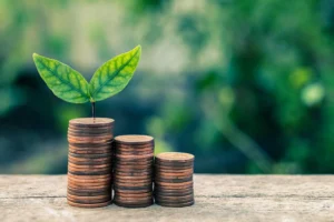 Finanzas verdes: ¿cómo invertir sin dañar el planeta?