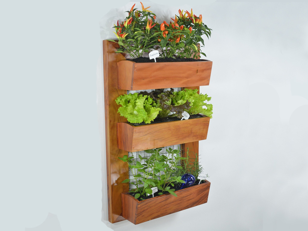 Cultivar, reciclar, reforestar: las claves para un futuro equitativo y próspero 11 huerto jardín