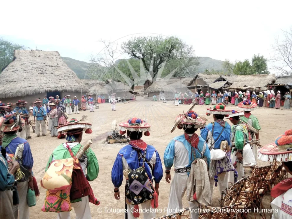 El Corredor Biocultural Huichol: un patrimonio vivo que busca protección global 11 corredor