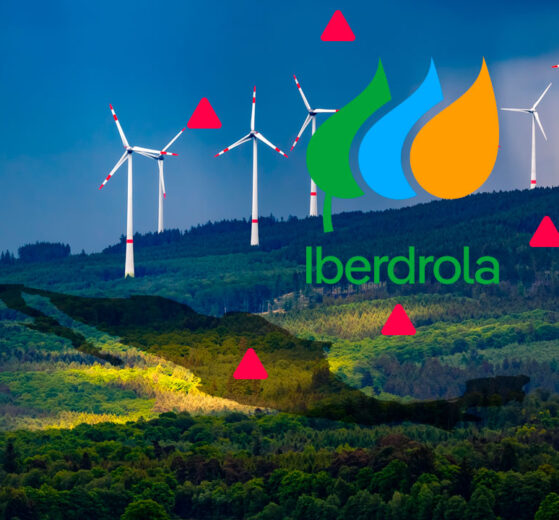IBERDROLA
