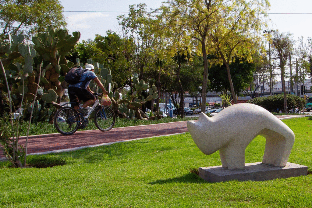 Ranking de Alcaldías verdes en CDMX 12 image 126