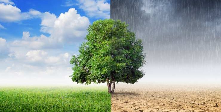 Imaginar el mañana: las nuevas narrativas para un futuro ambiental posible 12 image 150