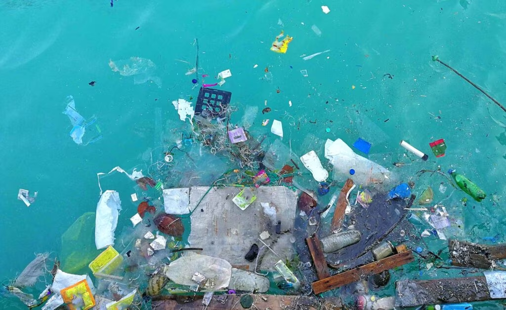 La contaminación del agua amenaza al 80% de la población 12 image 176