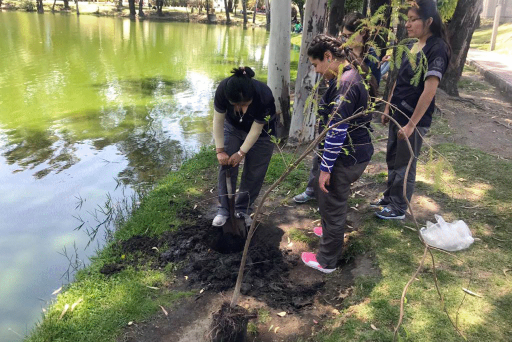 BUAP: Ciudad Universitaria se vuelve verde tras exitosa jornada de reforestación 11 image 20