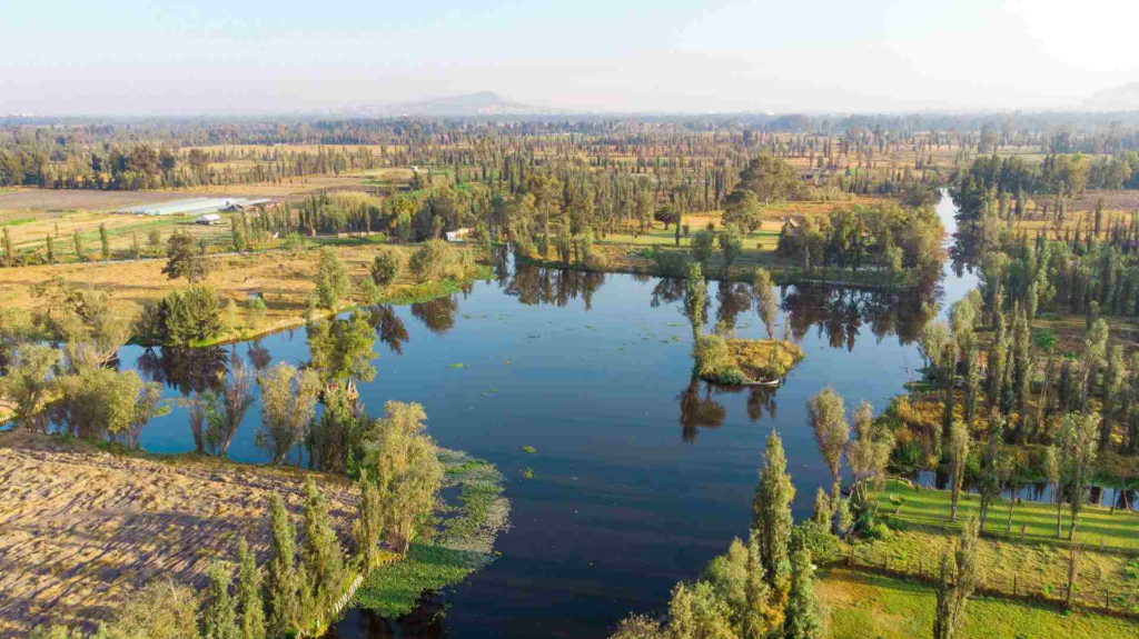 Moctezuma realiza jornada de limpieza en canales de Xochimilco para fortalecer sistema chinampero 12 image 270
