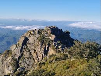 Proyecto Santuario del Tío checo cuestionado por especialistas 11 image 3