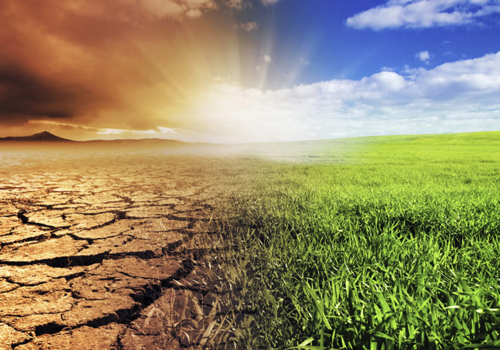 Bonos verdes financian proyectos ambientales a nivel global 12 image 331