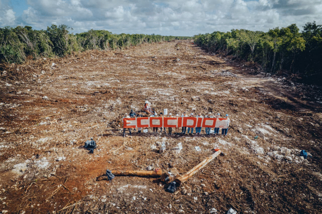 El medio ambiente y el impacto del medio ambiente, bajo Sheinbaum: promesas, contradicciones y desafíos reales 12 image 36