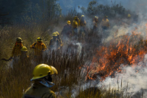 La temporada de incendios comenzó en Hidalgo debido a la sequía: ya son 29 