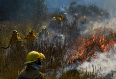 La temporada de incendios comenzó en Hidalgo debido a la sequía: ya son 29 17 La temporada de incendios comenzó en Hidalgo debido a la sequía: ya son 29