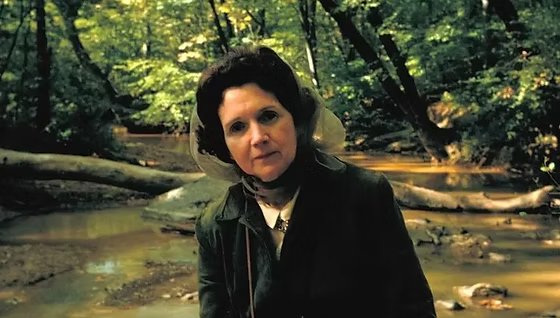 Guardianas del tiempo: liderazgo femenino en la defensa del planeta 12 image 366