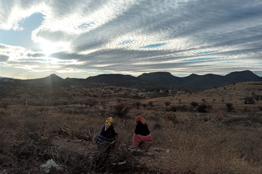Cuando los tribunales mexicanos priorizaron a la naturaleza frente al poder 12 image 370