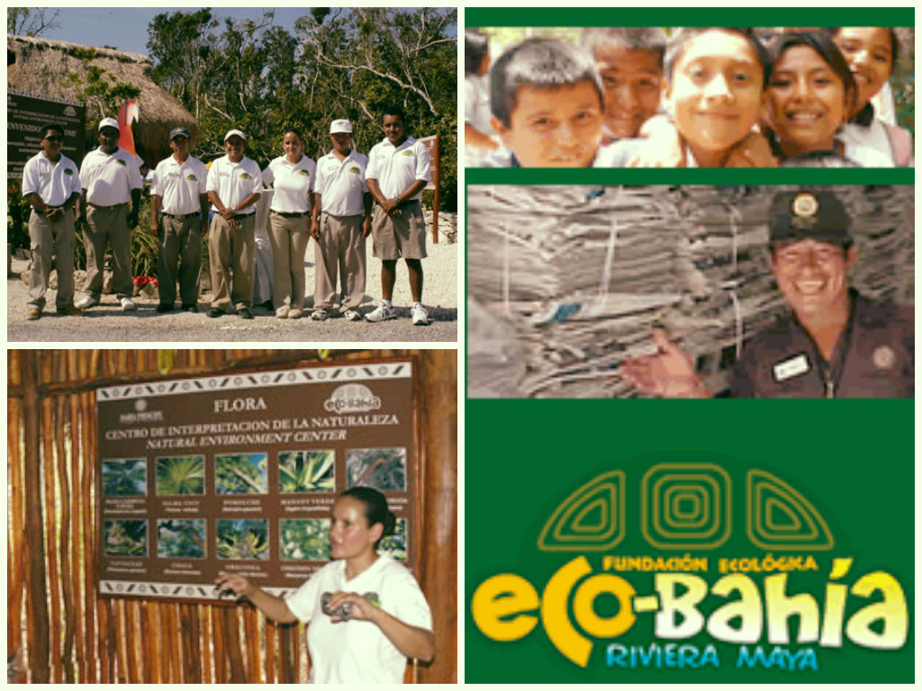 Eco_Bahia una fundación que ayuda a proteger la naturaleza 11 image 383