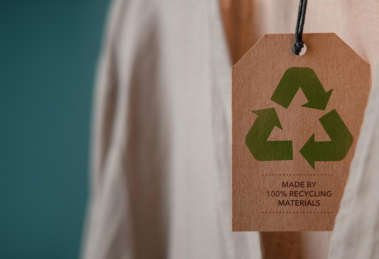 Hacia un futuro verde: El auge de la moda ecológica y artesanal en México 18 econegocios