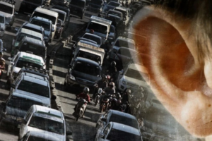 ruido molesto_contaminación