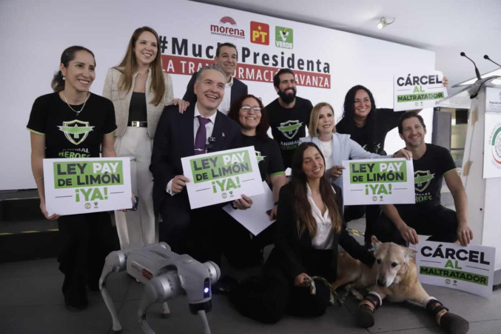 Se impulsa la “Ley Pay de Limón” para sanciones más severas contra el maltrato animal 12 image 40