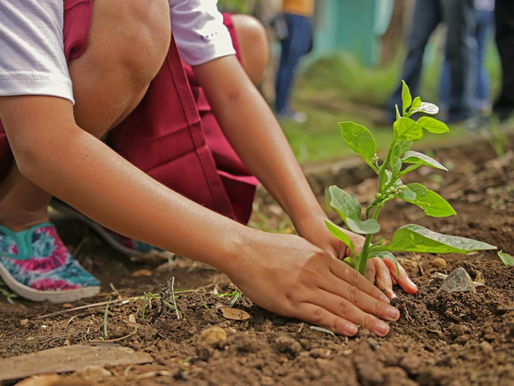 Cadereyta se recupera con plan de reforestación con 45,300 árboles nativos 12 image 410