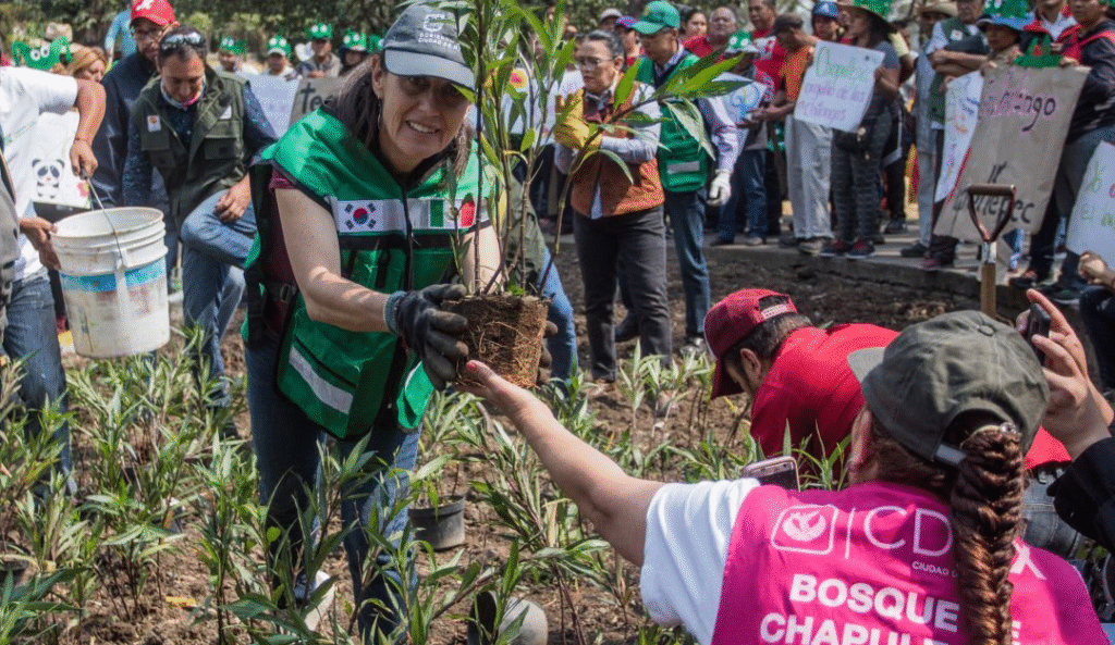 CDMX ante el calor extremo: ¿estamos preparados? 12 image 44