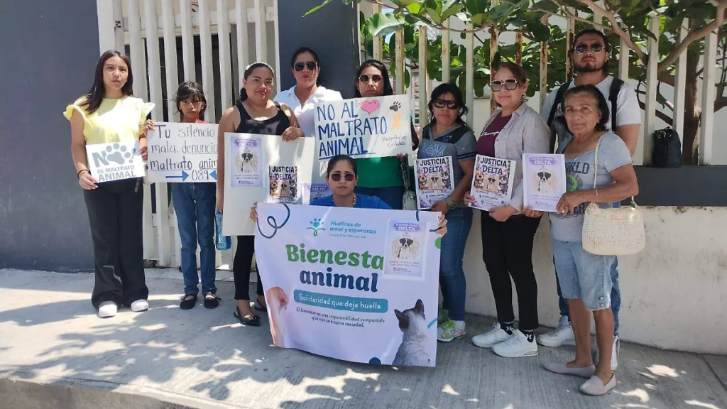 Juicio por Delta abre camino en la lucha contra la crueldad animal 12 image 478