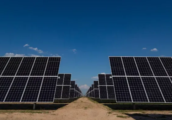 Semarnat evalúa el impacto ambiental del nuevo parque solar Los Girasoles 16 paneles solares